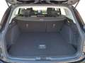 Ford Focus 1.5 EcoBlue 120 CV Automatico SW Business Co-Pilot Zwart - thumbnail 14