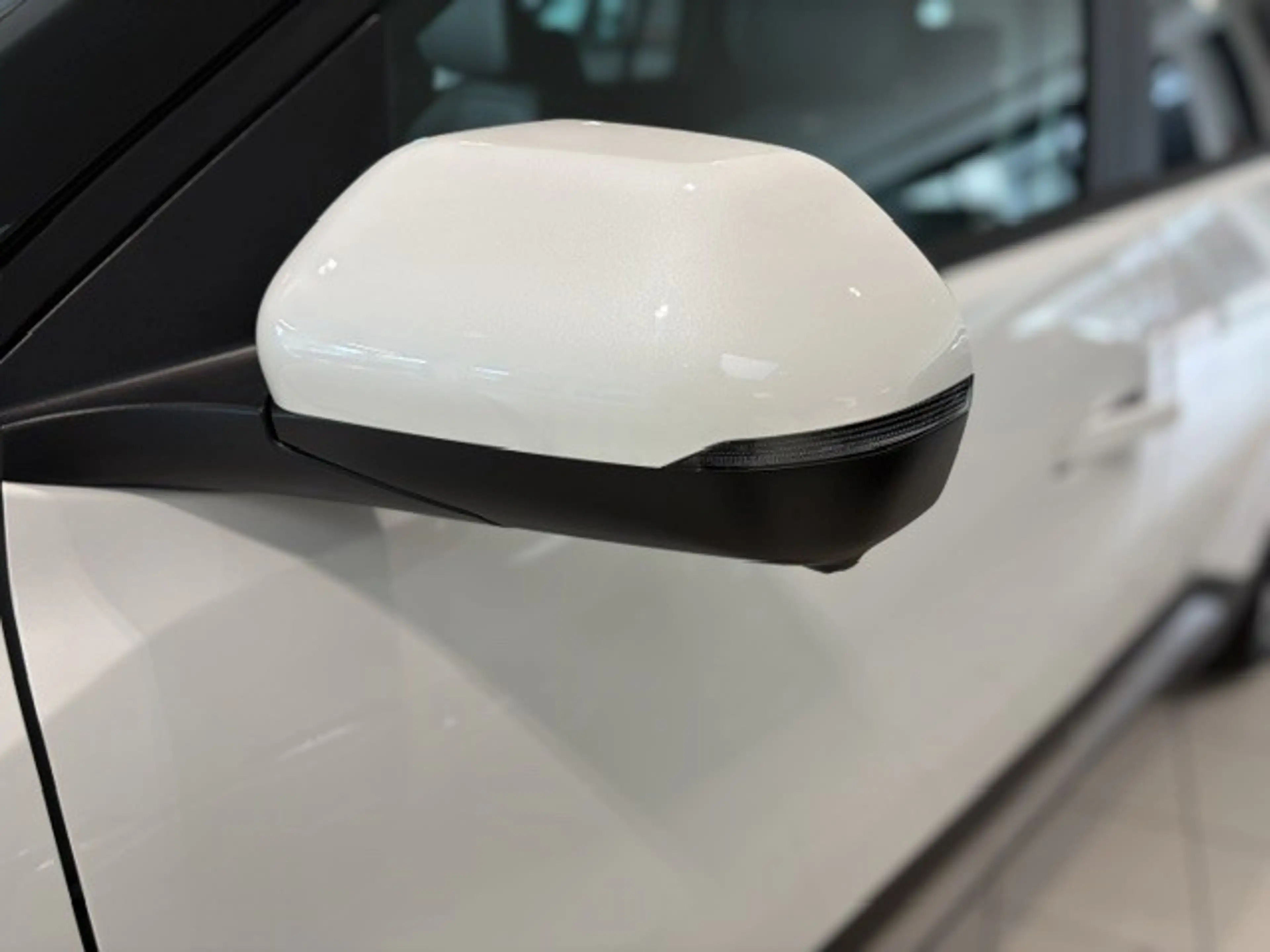 Kia EV3 Earth 81,4kWh P3-P8 AHK Business Upgrade Drive 19' — photo 4