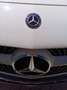 Mercedes-Benz A 160 A 160 Austria Edition Automatik (7G-DCT) nur 61.998 km (Preis Verhandlungsbasis) Weiß - thumbnail 13