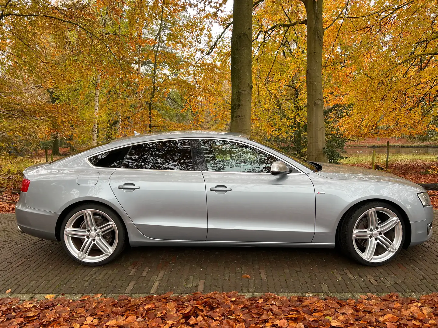 Audi A5 A5 2.7 TDI | Sportback | S-line | 2010 Zilver - 1