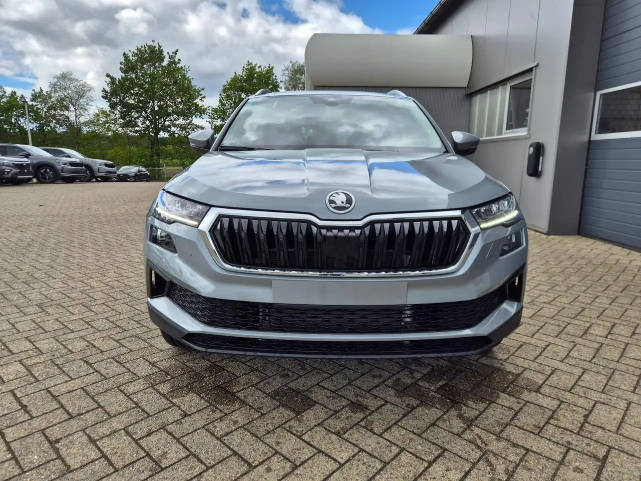 Skoda Karoq 2026 — фото 8