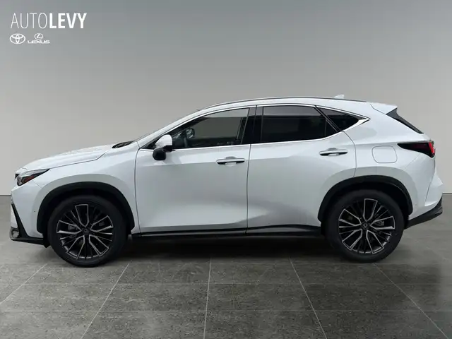 Lexus NX view 3