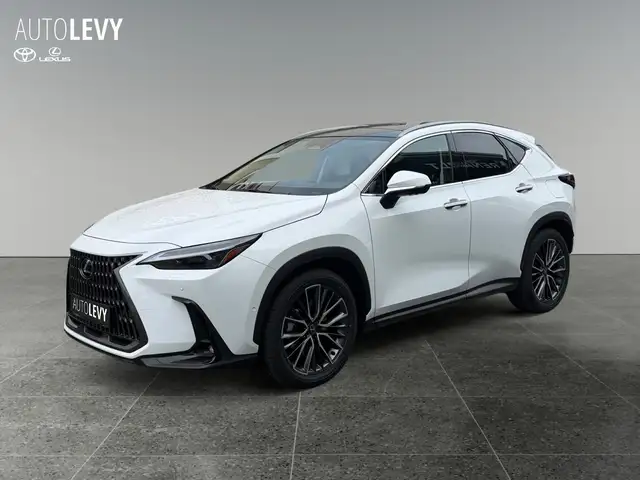 Lexus NX view 2