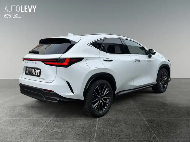Lexus NX view 6