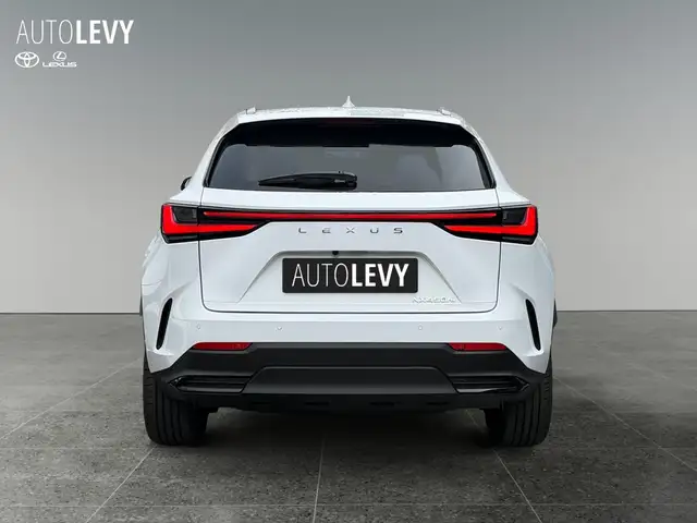 Lexus NX view 5