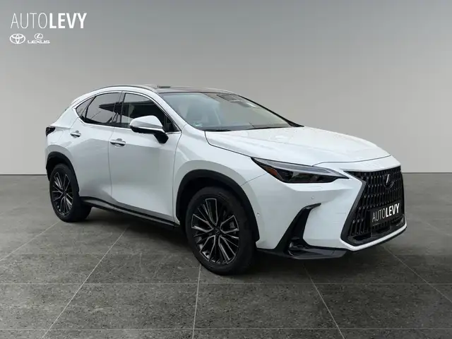 Lexus NX view 8
