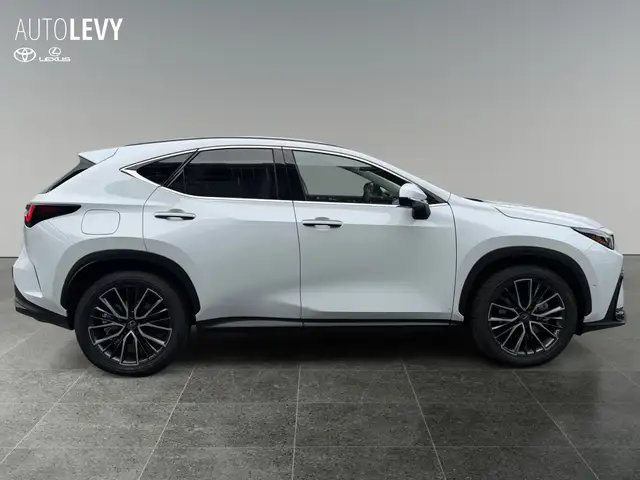 Lexus NX view 7