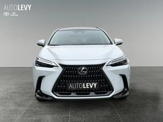 Lexus NX view 9