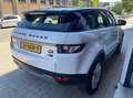 Land Rover Range Rover Evoque 2.2 TD4 4WD Pure NL AUTO/FULL OPTIONS/DEALER O.H Blanco - thumbnail 6