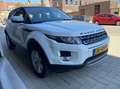 Land Rover Range Rover Evoque 2.2 TD4 4WD Pure NL AUTO/FULL OPTIONS/DEALER O.H Blanco - thumbnail 7