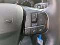 Ford Focus SW 125CV HYBRID  PRONTA CONSEGNA Gris - thumbnail 11