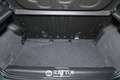 Fiat Panda Pandina 1.0 Firefly Hybrid 70CV Cross Grün - thumbnail 6