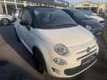 Fiat 500C FireFly Hybrid 70 Google Google Weiß - thumbnail 4