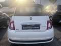 Fiat 500C FireFly Hybrid 70 Google Google Weiß - thumbnail 6