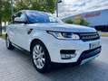 Land Rover Range Rover Sport 3.0TDV6 HSE Aut. Blanc - thumbnail 2