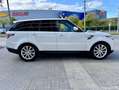 Land Rover Range Rover Sport 3.0TDV6 HSE Aut. Blanc - thumbnail 4