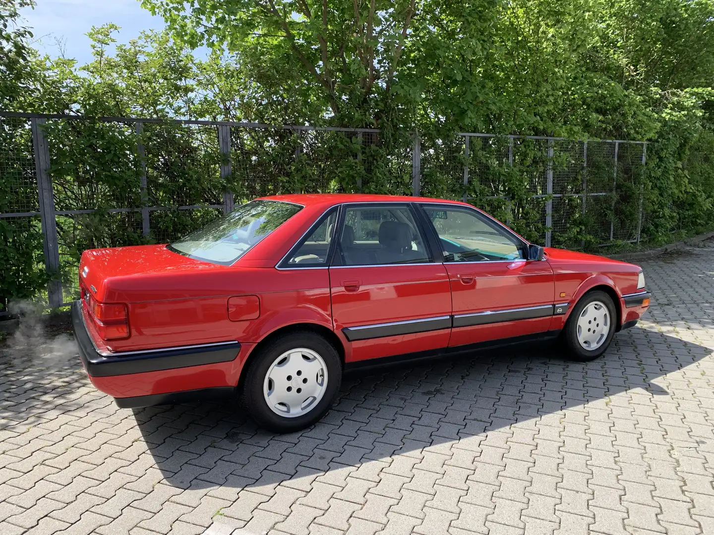 Audi V8 exklusiv Rot - 2