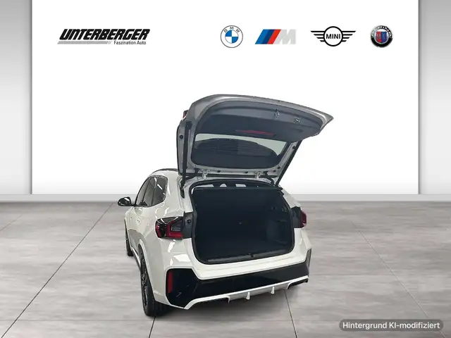 BMW X1 view 12