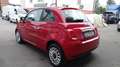 Fiat 500 1.0 hybrid Cult 70cv Rosso - thumbnail 4