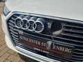 Audi A3 e-tron S-Line Automatik/Navi/LED/PDC/Garantie Білий - thumbnail 43