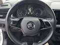 Skoda Kamiq 1.0 TSI Active 81kW Blanco - thumbnail 9