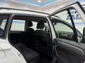 Volkswagen Golf Sportsvan Rabbit 2,0 BMT TDI DSG,AHK,Rückfahrkamera Weiß - thumbnail 26