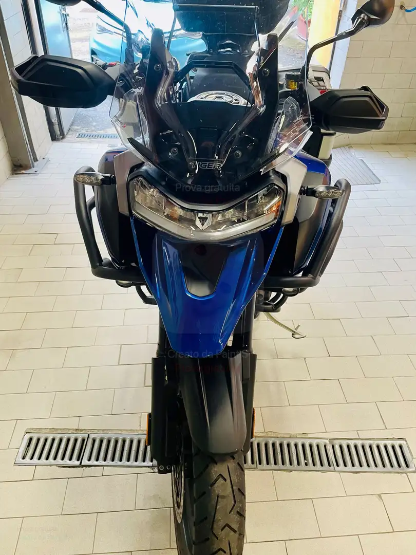 Triumph Tiger 1200 GT PRO Blu/Azzurro - 2