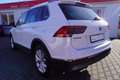 Volkswagen Tiguan 1.5 TSI DSG Highline LED Navi AHK ACC Weiß - thumbnail 3