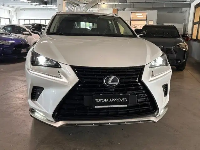 Lexus NX 300 NX I 2018 300h 2.5 Premium 4wd cvt