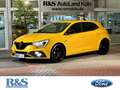 Renault Megane IV R.S.-221 KW (300 PS)+R.S. Monitor+Bose+Garantie Jaune - thumbnail 1