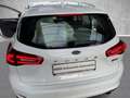 Ford Focus 1,5 EcoBlue Turnier Titanium Navi LED Apple CP And Weiß - thumbnail 21