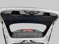 Ford Focus 1,5 EcoBlue Turnier Titanium Navi LED Apple CP And Blanc - thumbnail 20