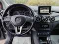 Mercedes-Benz B 180 Mercedes-benz B 180CDI Executive 2013 Grigio - thumbnail 13