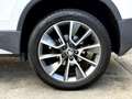 Skoda Karoq 2.0 TDI Scout 4x4 Weiß - thumbnail 7