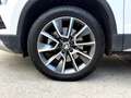 Skoda Karoq 2.0 TDI Scout 4x4 Weiß - thumbnail 6