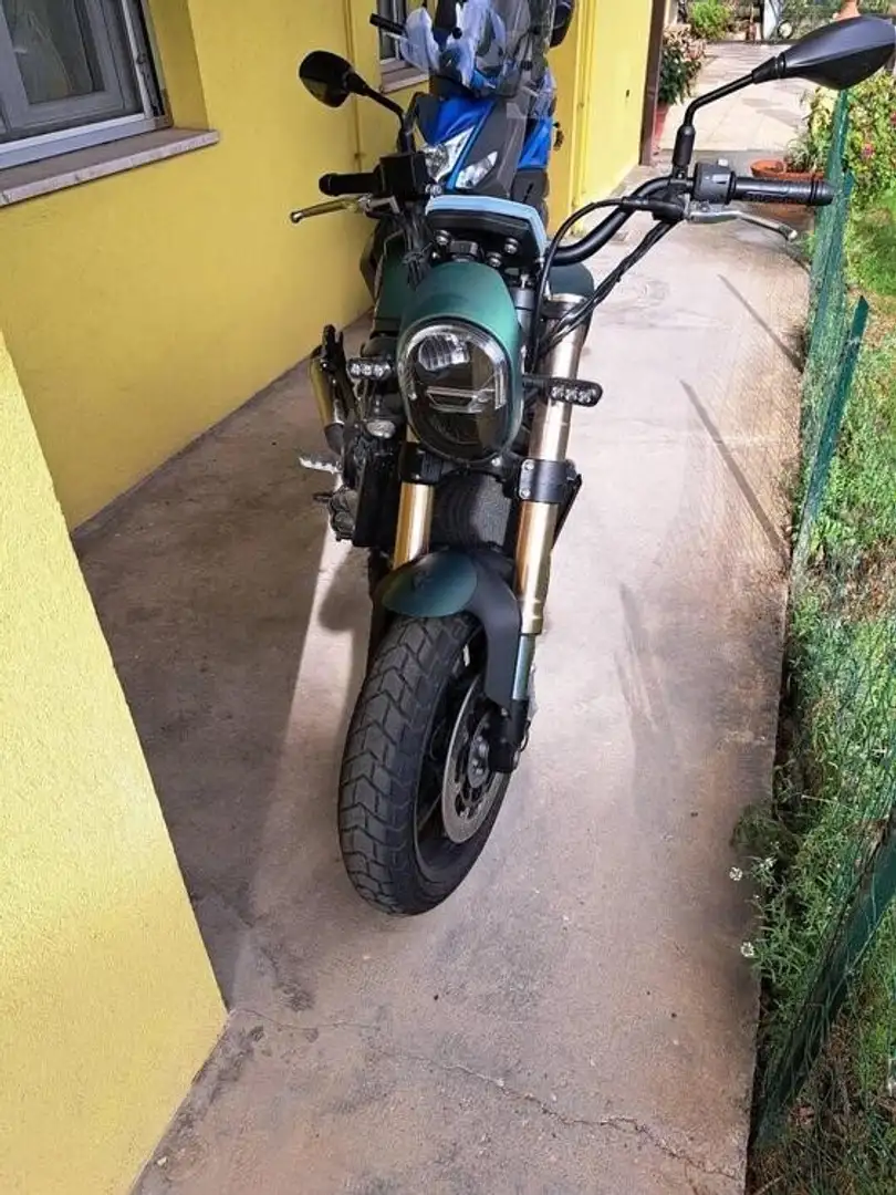 Benelli Leoncino 800 Verde - 1