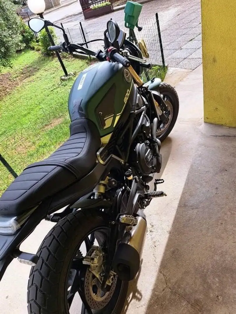 Benelli Leoncino 800 Verde - 2