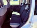 Fiat New Panda 4X4 - AZIENDALE - KM 55.000 - NO OBBLIGO FINANZIAM Weiß - thumbnail 11