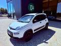 Fiat New Panda 4X4 - AZIENDALE - KM 55.000 - NO OBBLIGO FINANZIAM Weiß - thumbnail 5