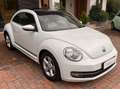 Volkswagen Maggiolino Maggiolino 1.6 tdi Design 105cv Blanc - thumbnail 3