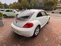 Volkswagen Maggiolino Maggiolino 1.6 tdi Design 105cv Blanc - thumbnail 12