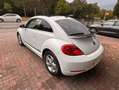 Volkswagen Maggiolino Maggiolino 1.6 tdi Design 105cv Blanc - thumbnail 6