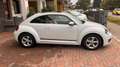 Volkswagen Maggiolino Maggiolino 1.6 tdi Design 105cv Blanc - thumbnail 5