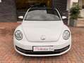 Volkswagen Maggiolino Maggiolino 1.6 tdi Design 105cv Blanc - thumbnail 2