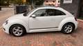 Volkswagen Maggiolino Maggiolino 1.6 tdi Design 105cv Blanc - thumbnail 7