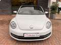 Volkswagen Maggiolino Maggiolino 1.6 tdi Design 105cv Blanc - thumbnail 4