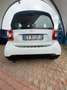 smart forTwo Fortwo III 2015 1.0 Urban (sport edition1) 71cv Bianco - thumbnail 5