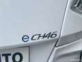 Chatenet CH 46 CH SPRING ELECTRIQUE Blanc - thumbnail 10