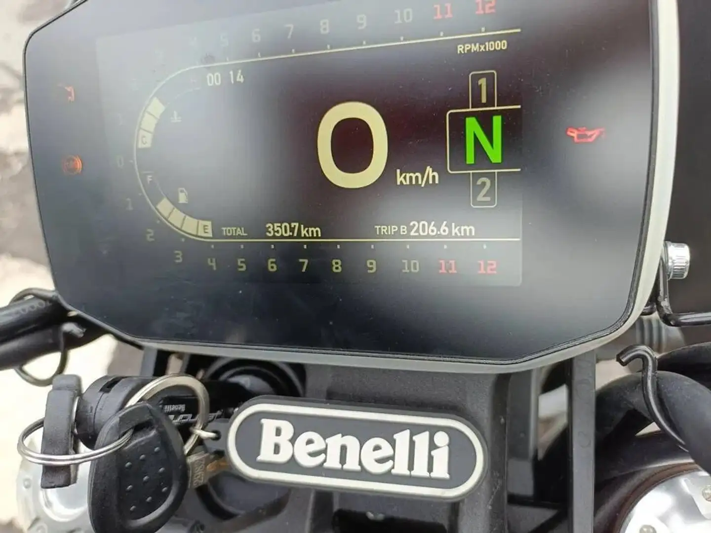 Benelli Leoncino Grau - 2