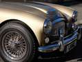 Austin-Healey 3000 Wunderschöner AH 3000 MK III NEUWERTIG !!!!!! Beige - thumbnail 7
